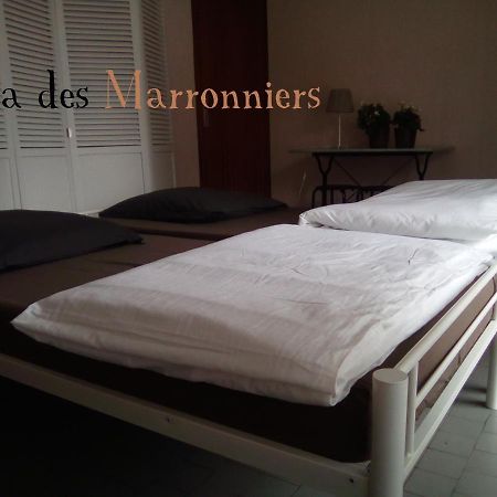 Villa Des Marronniers Mirande  Exteriér fotografie